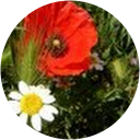maria rosa giró profile picture